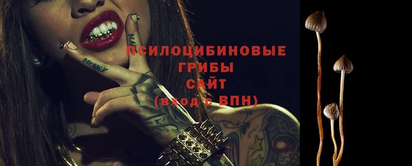 хмурый Алзамай