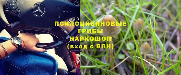 хмурый Алзамай