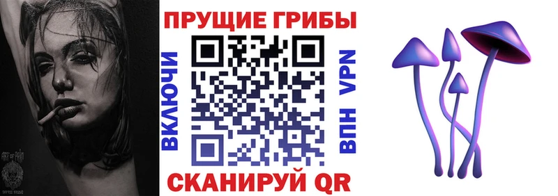KRAKEN рабочий сайт  сколько стоит  Кемь  Галлюциногенные грибы Psilocybe 